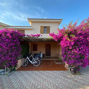 https://san-teodoro-centro-e-la-cinta.in-sardinia.net