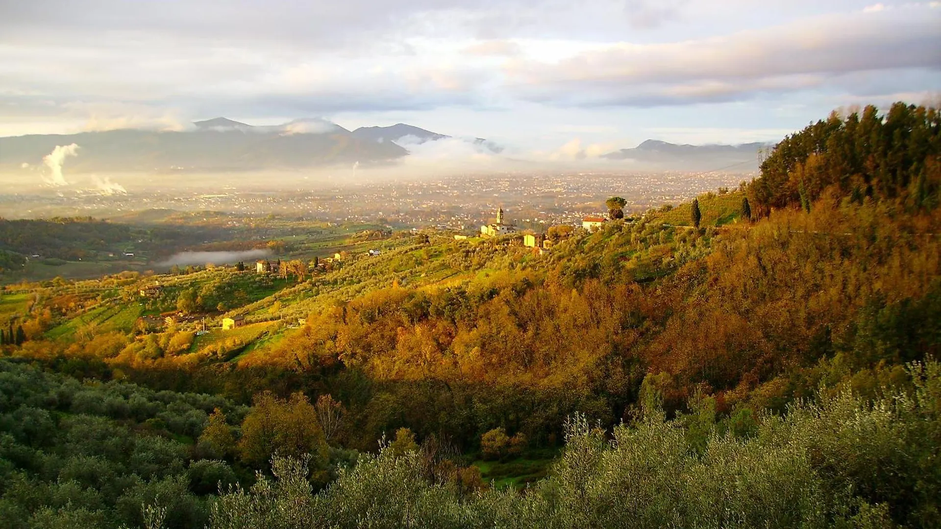 Fattoria Gambaro Di Petrognano Villa Collodi
