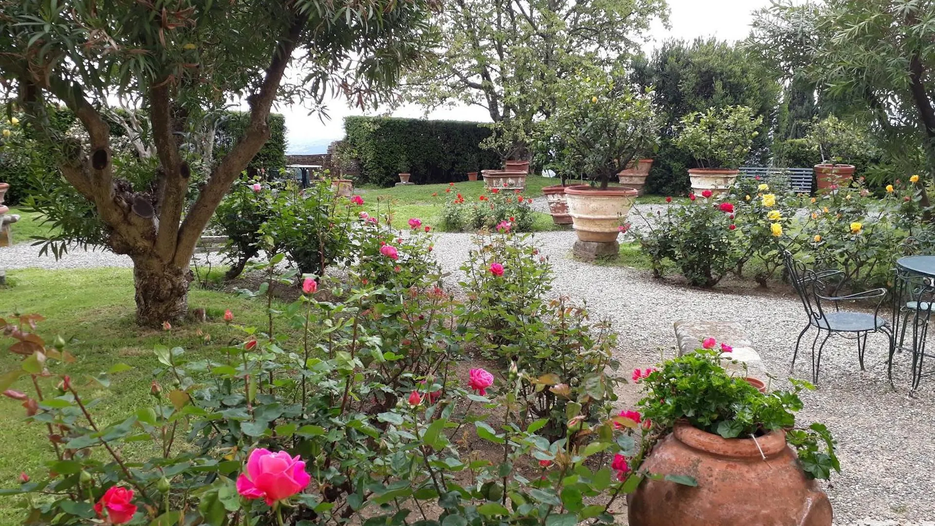 Fattoria Gambaro Di Petrognano Villa Collodi 0*,