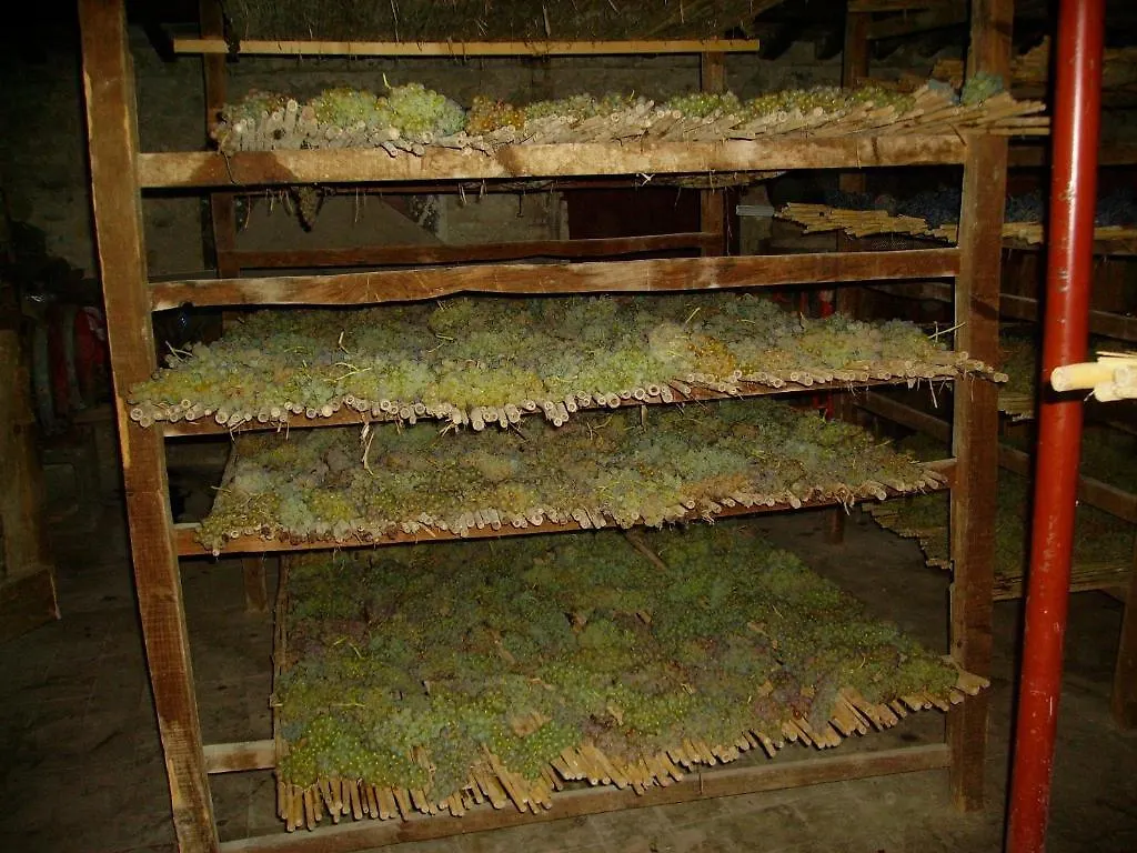 Fattoria Gambaro Di Petrognano Villa Collodi Italy